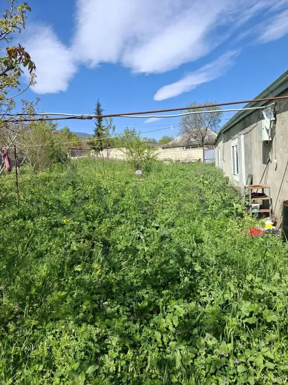 10 sot Torpaq Satılır, Şabran — Torpaq, Şabran (5)