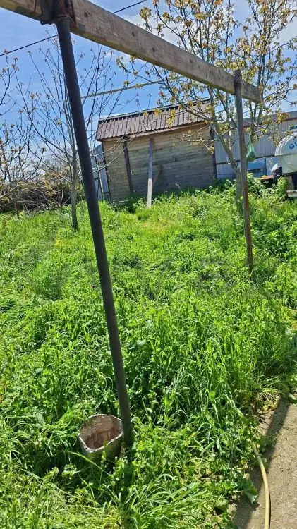 10 sot Torpaq Satılır, Şabran — Torpaq, Şabran (2)
