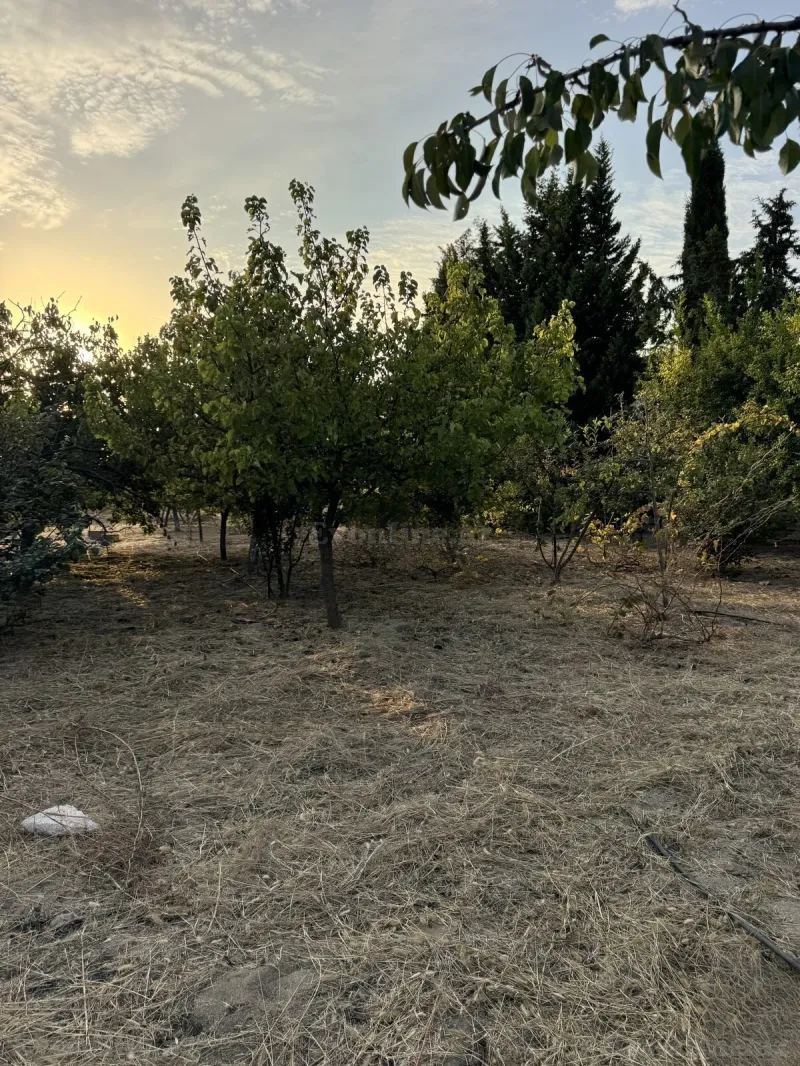Satılır Torpaq 4 sot Bakı, Abşeron r., Novxanı — Torpaq, Bakı (3)