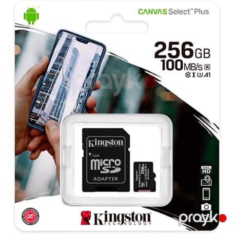 Kingston 256GB microSD Yaddaş Kartı Uhs-ı Class 10 4K Sürətli Kart — Bakı
