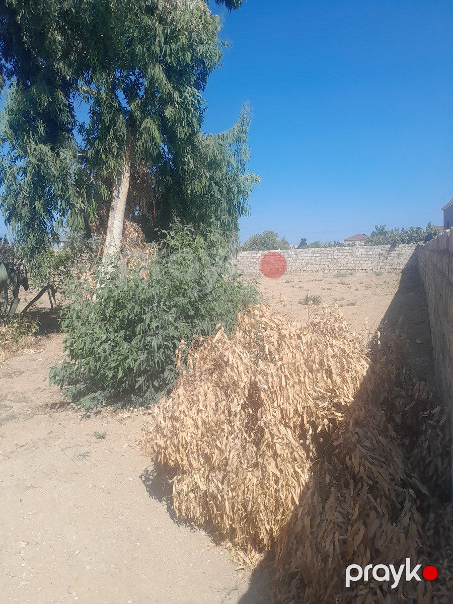 Satılır torpaq 7 sot — Torpaq, Bakı (5)