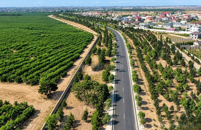 Satılır Torpaq 182 sot Bakı, Xəzər r., Şüvəlan — Torpaq, Bakı (8)
