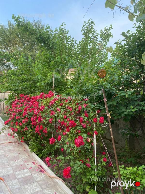 Satılır 6 otaqlı Həyət evi / Villa, 120 m², Kotec qəs — Ev, villa, Sumqayıt (5)