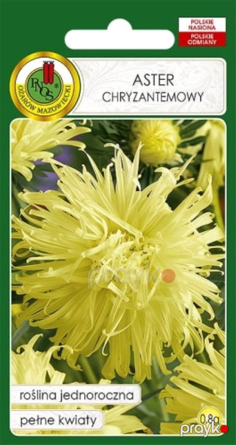 Gül toxumları Pnos Aster Chryzantemowy sarı 0.8 q — Bakı