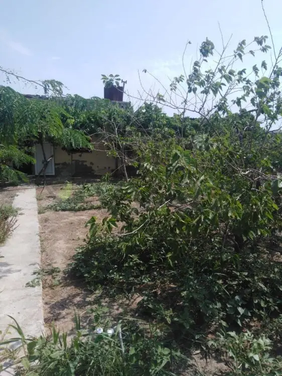 12 sot Torpaq Satılır, Kürdəxanı qəs., Sabunçu, Bakı — Torpaq, Bakı (7)