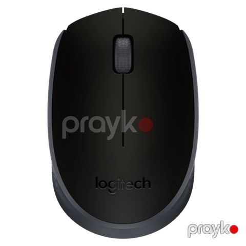 Logıtech Wireless Mouse M171 – Black (910-004424) — Bakı