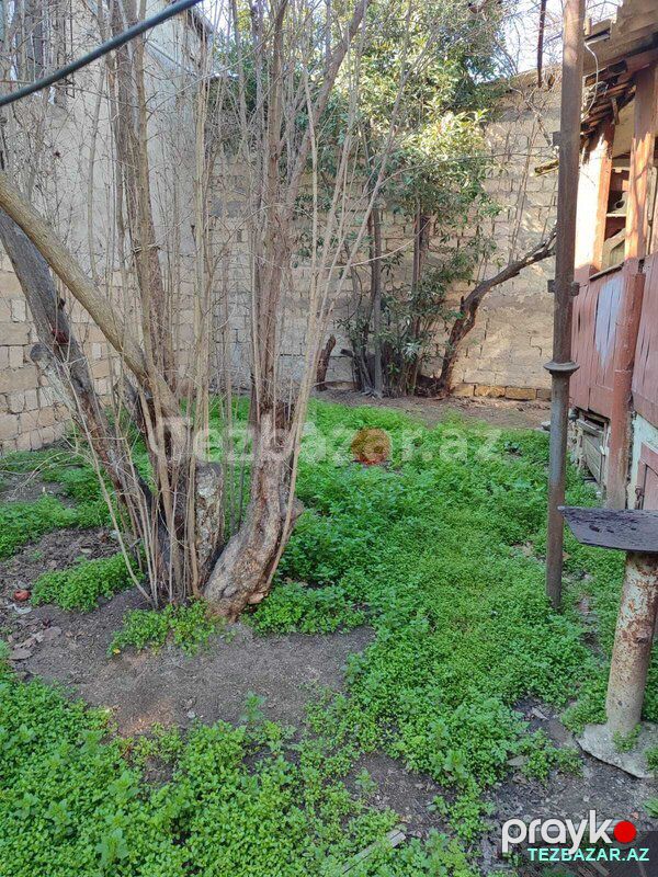 Bılecerıde heyet evı satısı — Ev, villa, Bakı (7)