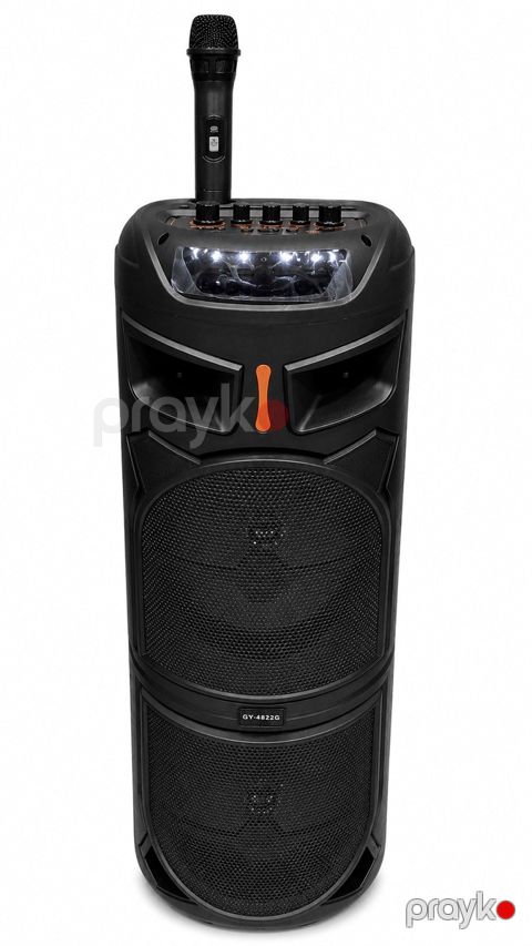 Bluetooth karaoke mikrofonlu portativ dinamik GY-8822G — Bakı