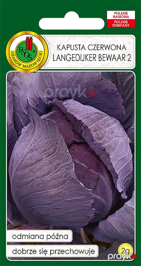 Tərəvəz toxumları Qırmızı kələm Langedijker Bewaar 2, 2 q — Bakı