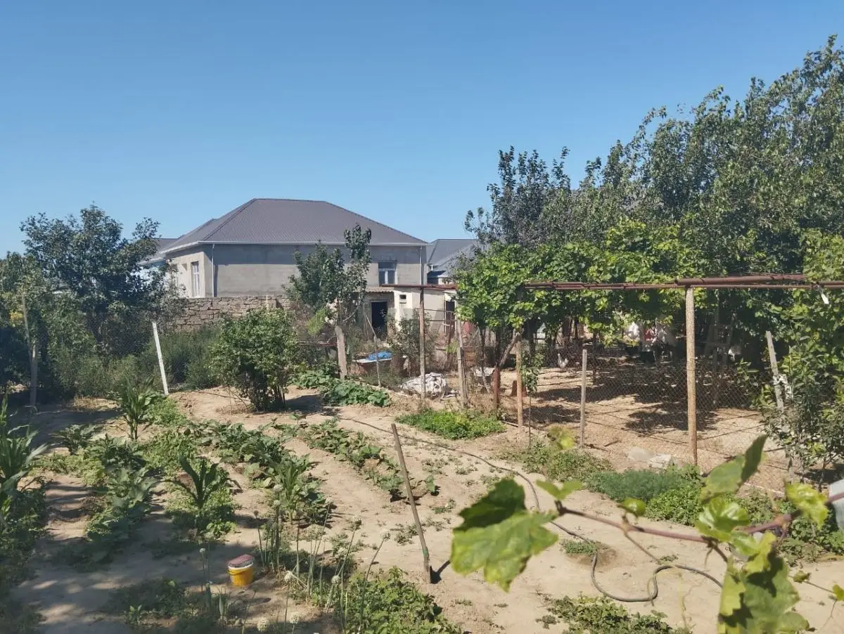 6 sot Torpaq Satılır, Yeni Ramana, Sabunçu, Bakı — Torpaq, Bakı (2)