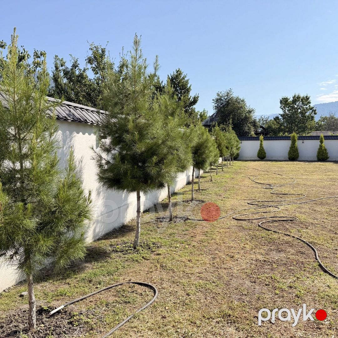 Satılır torpaq 8 sot — Torpaq, Qax (10)