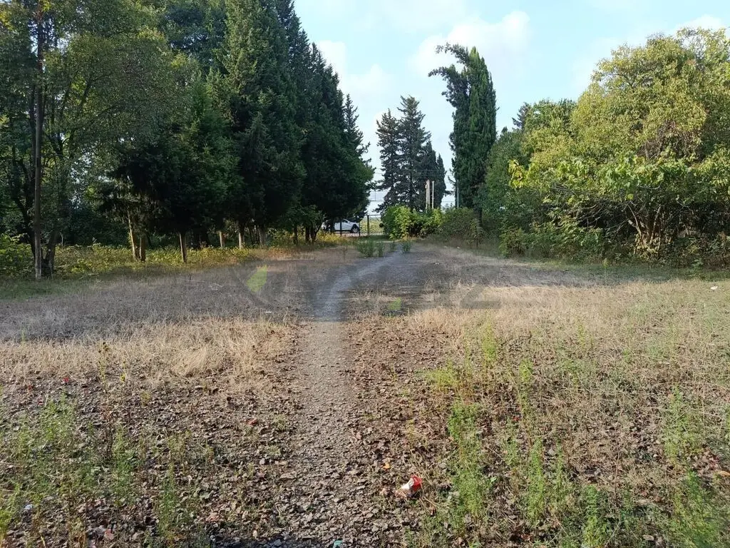 67 sot Torpaq Satılır, Lənkəran — Torpaq, Lənkəran (9)