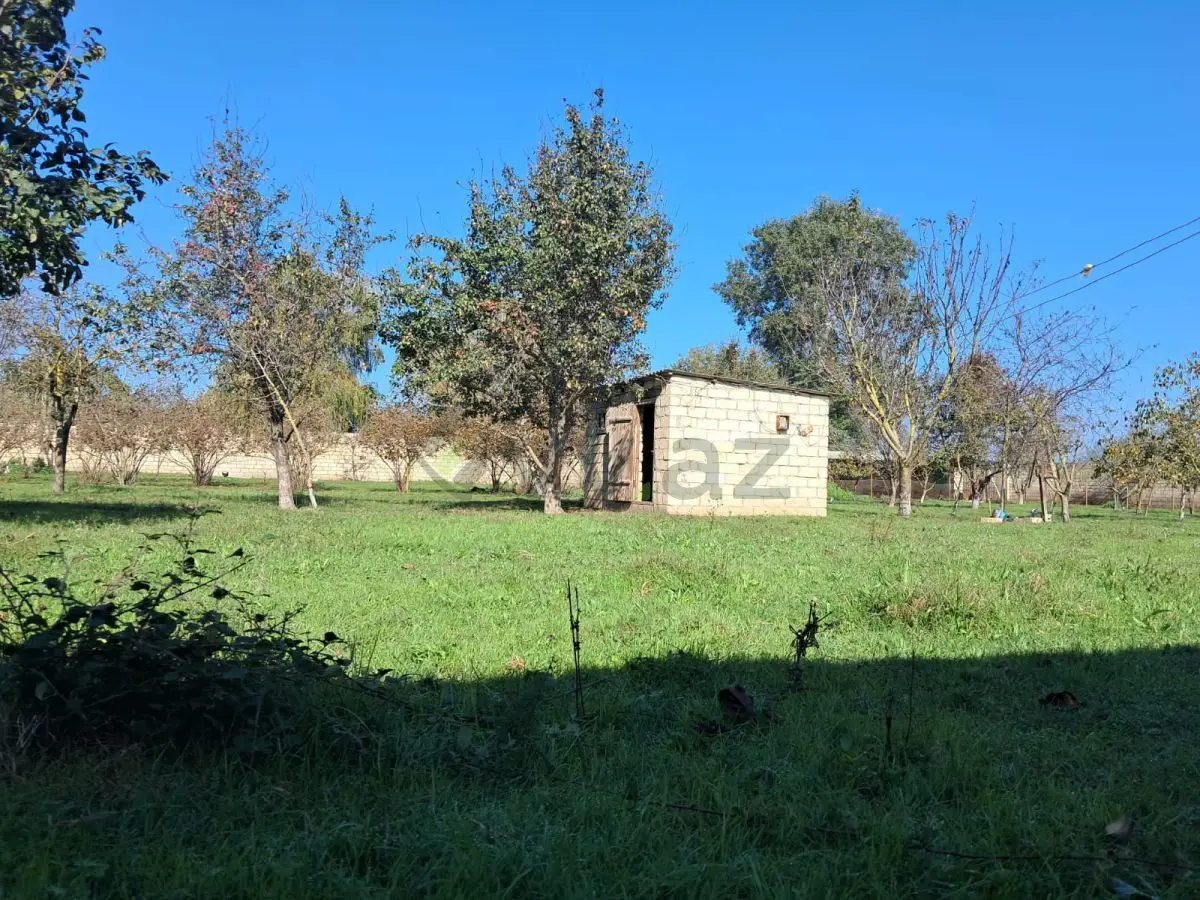 200 sot Torpaq Satılır, Xaçmaz — Torpaq, Xaçmaz (4)