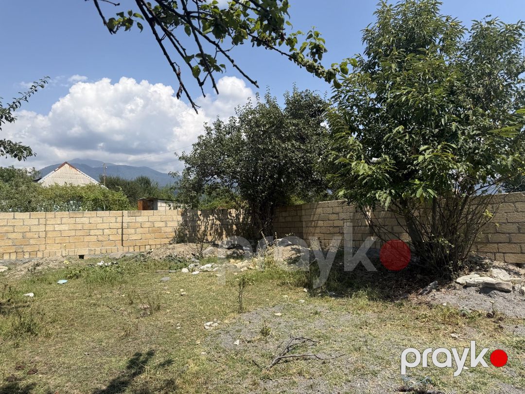 Satılır torpaq 3 sot — Torpaq, Qəbələ (2)