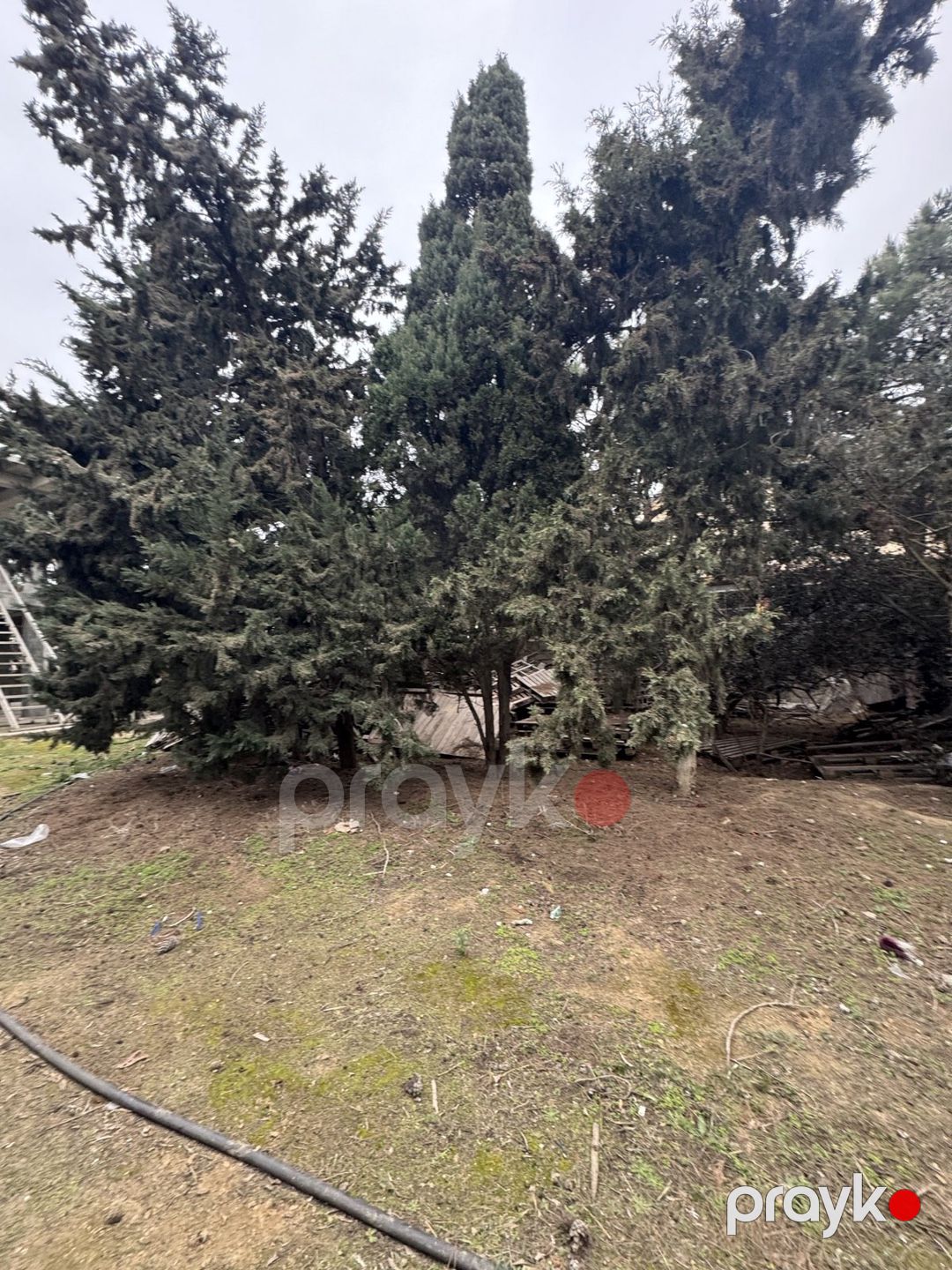 Satılır torpaq 25 sot — Torpaq, Bakı (2)