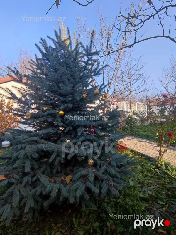 Günlük 4 otaqlı Həyət evi / Villa, 250 m², İsmayıllı — Ev, villa, İsmayıllı (7)