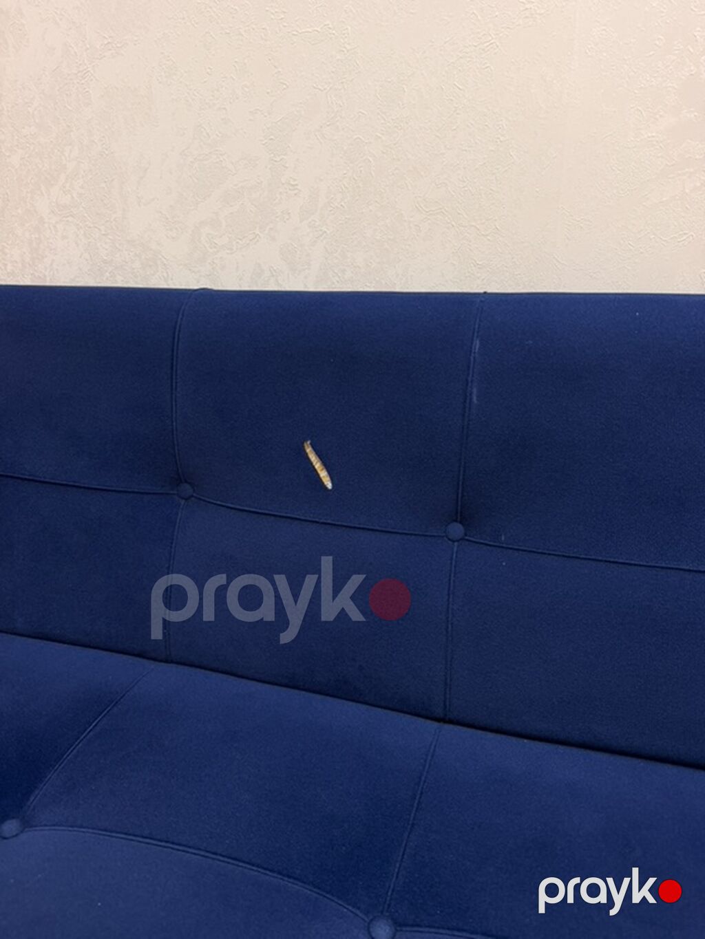 Divan, İşlənmiş, Açılan, Bazalı, Vеlur parça, Çatdırılma yoxdur — Divanlər, Bakı (2)