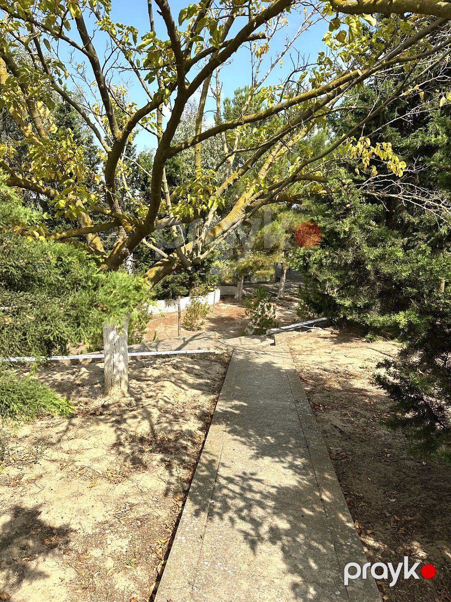 İcarəyə verilir 6 otaqlı həyət evi/bağ evi 225 m² — Ev, villa, Bakı (7)