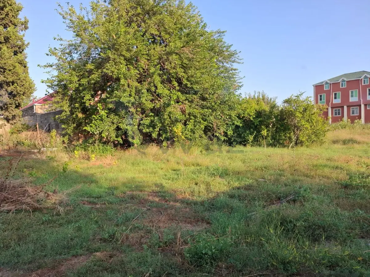 30 sot Torpaq Satılır, Novxanı, Abşeron — Torpaq (2)