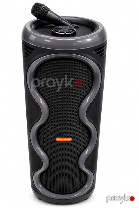 MS-2077BT-W 80CM Bluetooth karaoke speaker — Bakı