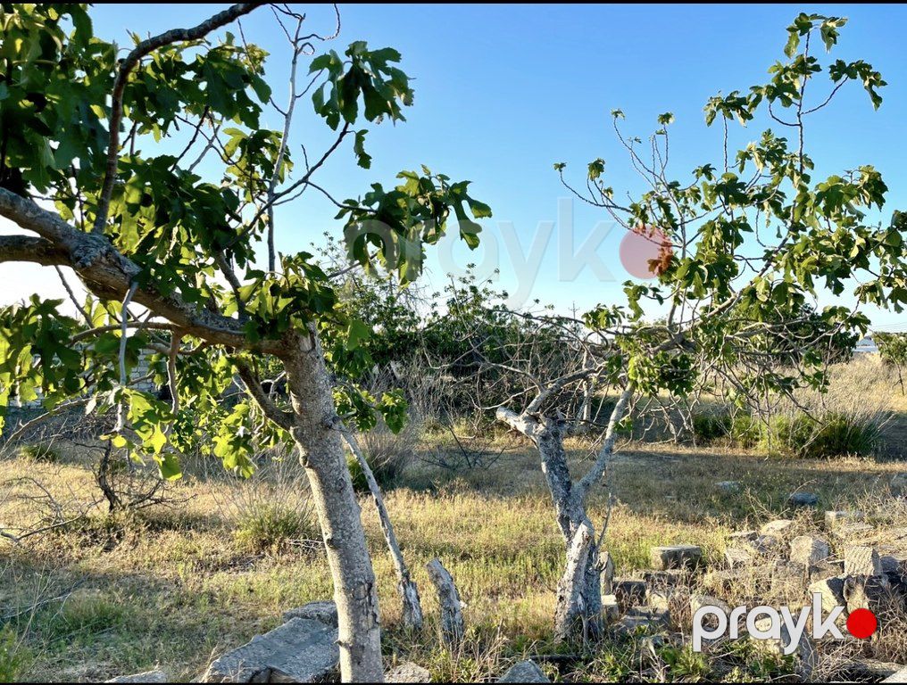 Satılır torpaq 18 sot — Torpaq, Bakı (3)