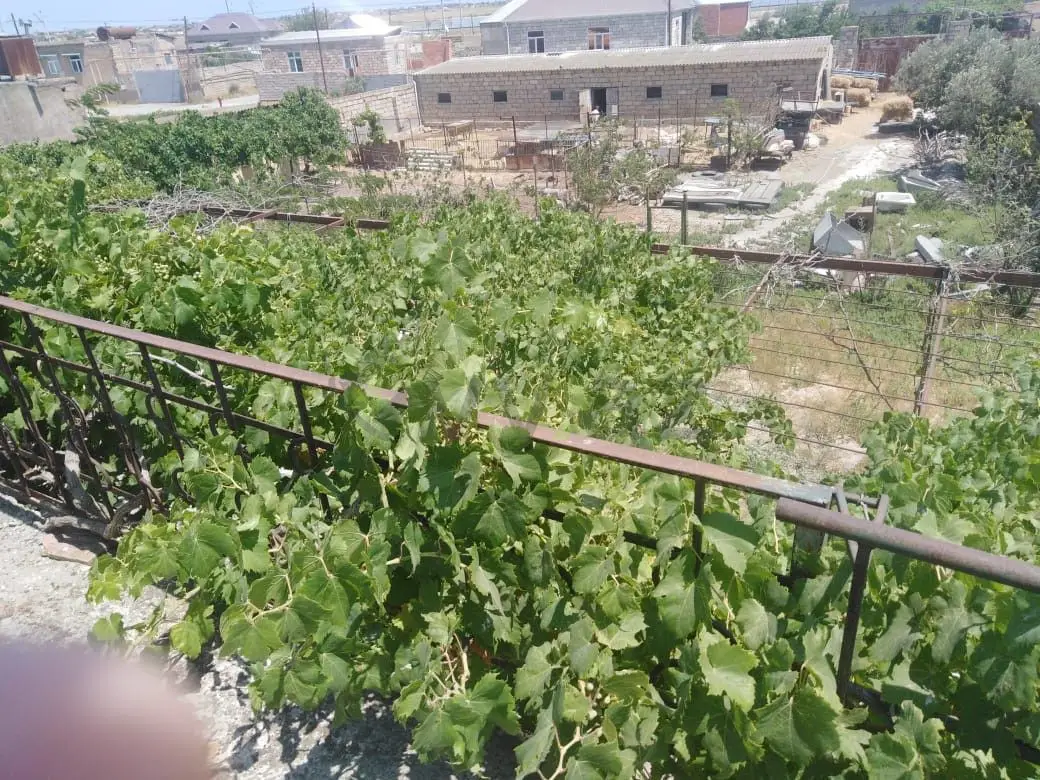 12 sot Torpaq Satılır, Kürdəxanı qəs., Sabunçu, Bakı — Torpaq, Bakı (6)