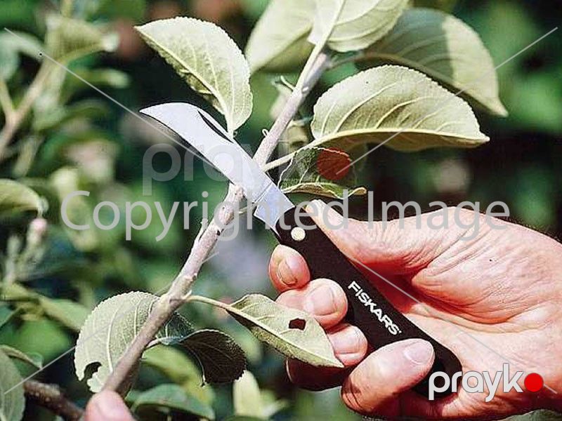 Bıçaq Fiskars 125890 — Təmir və inşaat, Bakı (2)