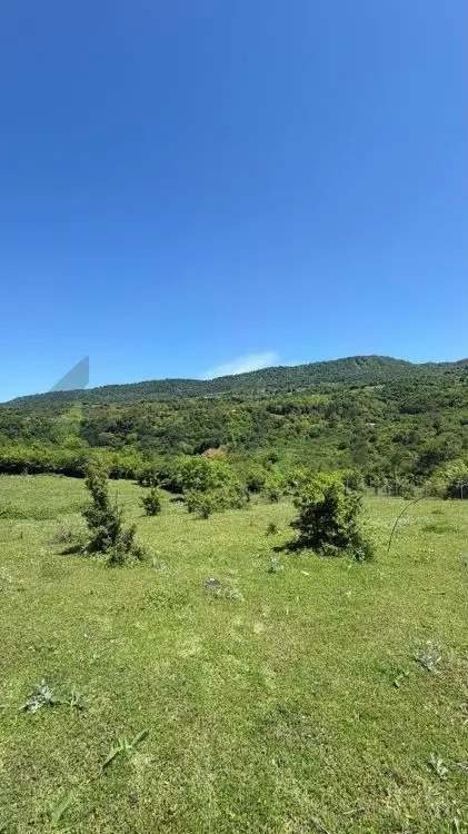 6 sot Torpaq Satılır, Quba — Torpaq, Quba (4)