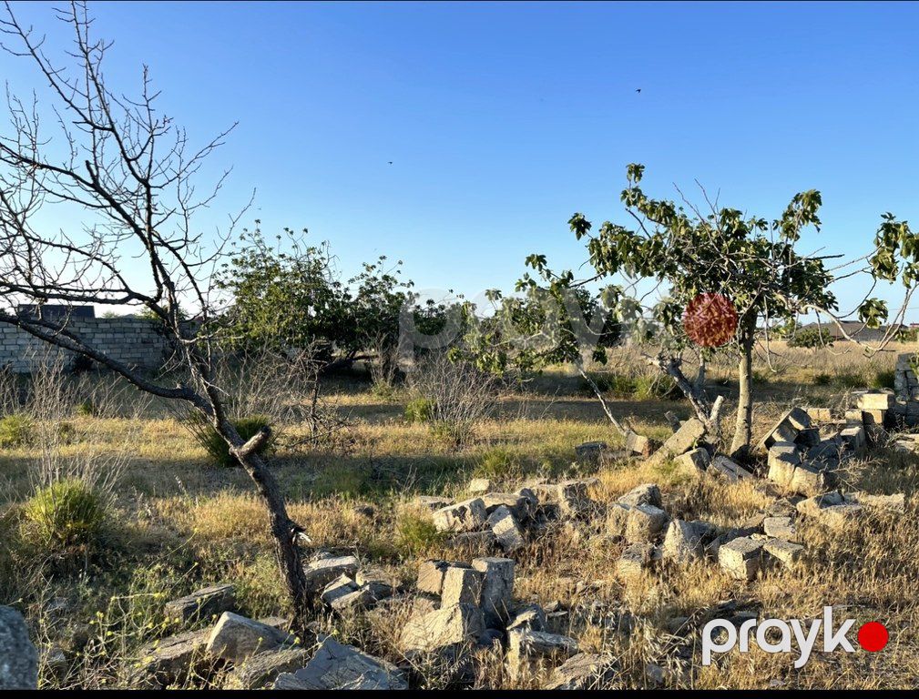 Satılır torpaq 18 sot — Torpaq, Bakı (5)