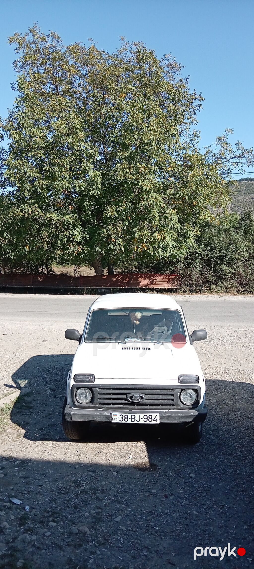 VAZ (Lada) 4x4 Niva: 1.7 l 2001 il 281000 km Ofrouder/SUV — Avtomobillər, Quba (3)