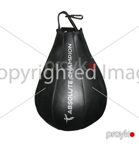 Boks kisəsi Absolute Champion 16 kg — Bakı