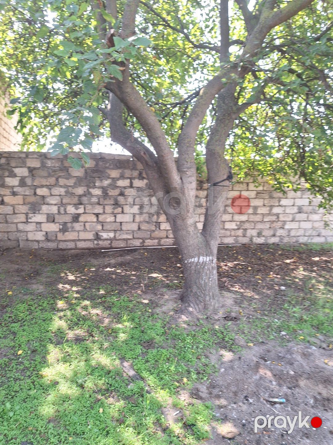 Satılır 2 otaqlı həyət evi/bağ evi 70 m² — Ev, villa, Bakı (8)