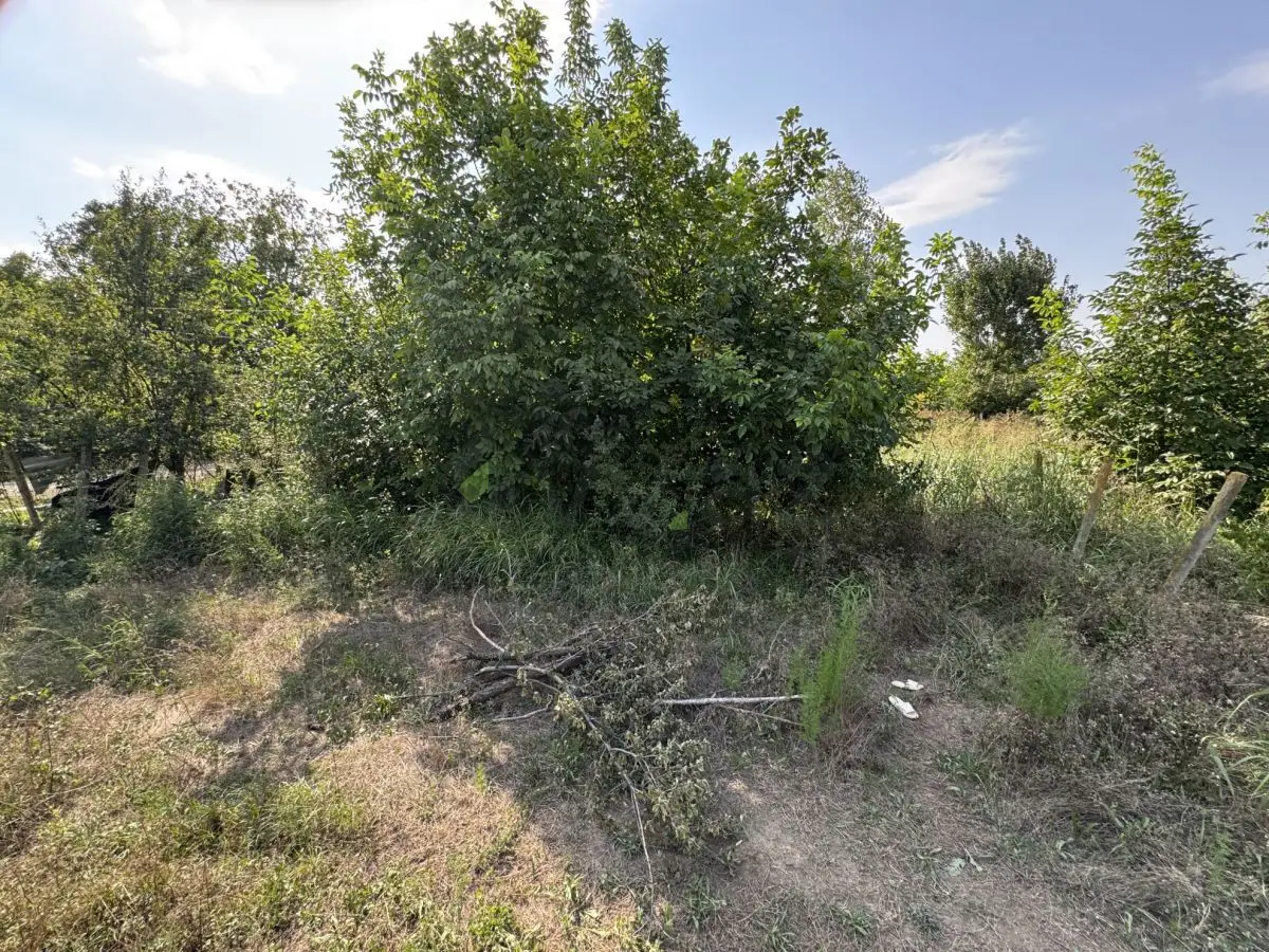 6 sot Torpaq Satılır, Gəncə — Torpaq, Gəncə (4)