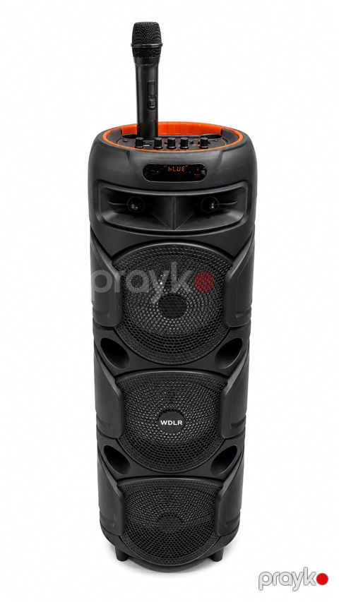 Wdlr DR-8831 Bluetooth karaoke dinamik mikrofonlu portativ party speaker — Bakı