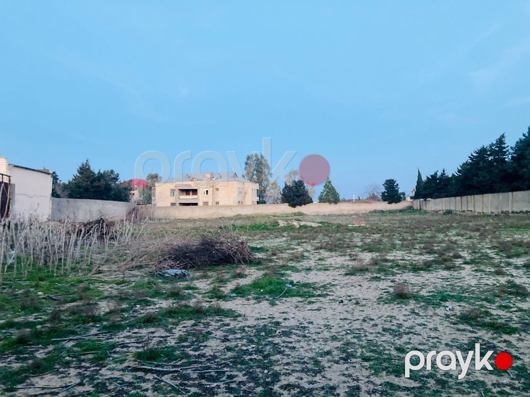 Satılır torpaq 6 sot — Torpaq, Bakı (4)