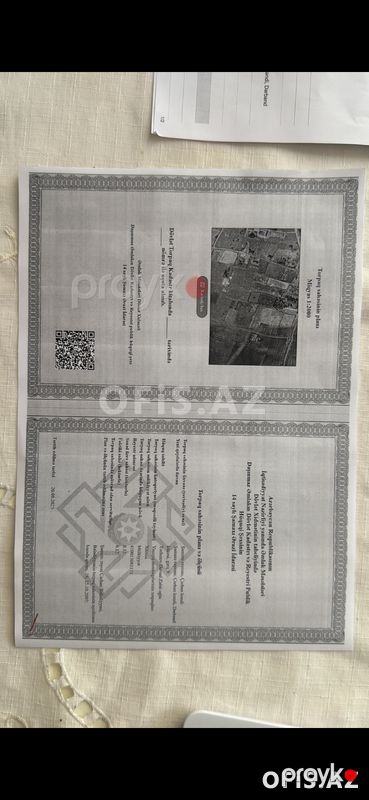 Torpaq Satılır Şamaxı, Şamaxıda kupçalı torpaq, 12 sot — Torpaq, Şamaxı (3)