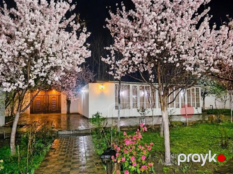 Günlük 4 otaqlı Həyət evi / Villa, 250 m², İsmayıllı — Ev, villa, İsmayıllı (3)