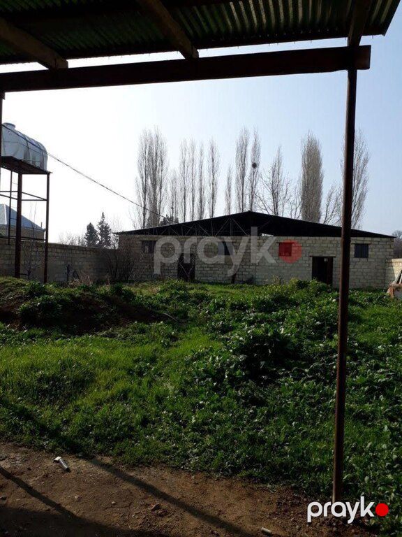 Bağ evi, Gence ş — Ev, villa, Gəncə (3)