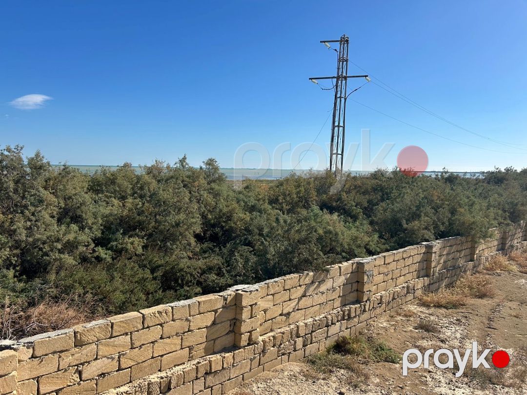 Satılır torpaq 24 sot — Torpaq, Bakı (9)