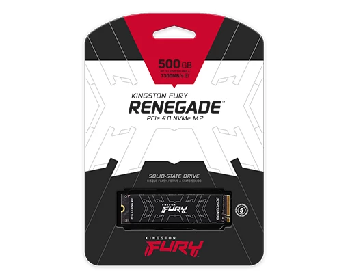 M.2 SSD Kingston Fury Renegade (SFYRS/1000G) 1TB — Bakı