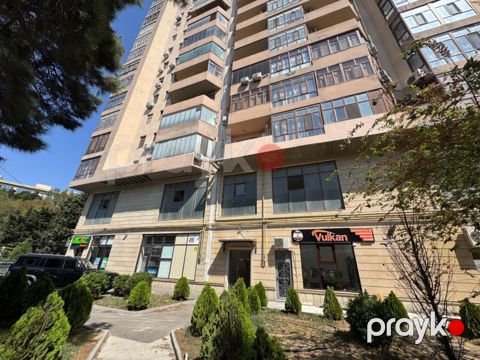 İcarəyə verilir obyekt 320 m² — Bakı