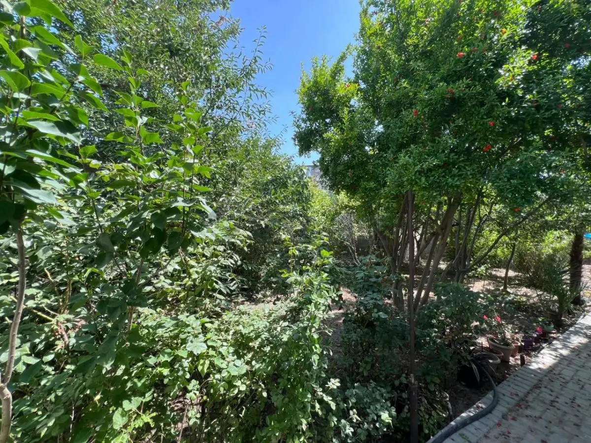 4 otaqlı Həyət evi Satılır, Mərdəkan, Xəzər, Bakı — Ev, villa, Bakı (11)
