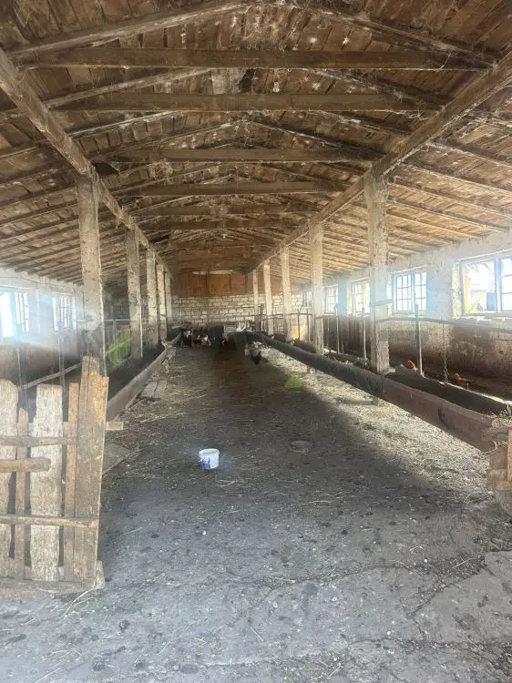 112 sot Torpaq Satılır, Göyçay — Torpaq, Göyçay (8)