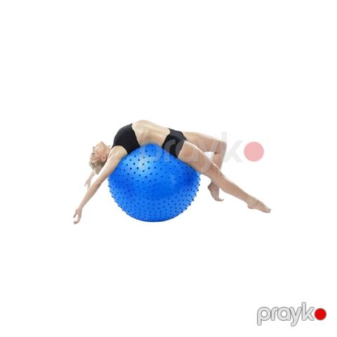 7009 Məhsulun adı: Fitnes topu Gymnic 1062 tikanlı, PVC, bənövşəyi