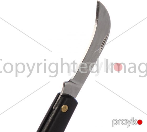 Aşılar üçün əyilmiş bıçaq Fiskars K62 1001623 — Dacha və bağ, Bakı (3)