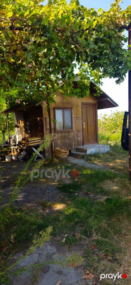 360 sot torpaq sahəsi, Quba r — Torpaq, Bakı (3)