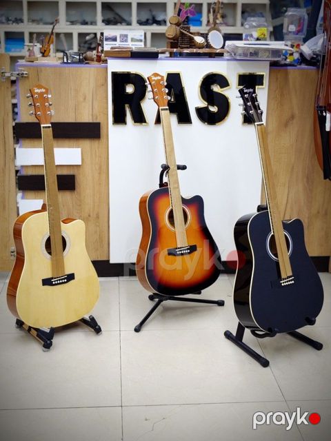 Akustik gitaralar "Tayste T-411" — Bakı