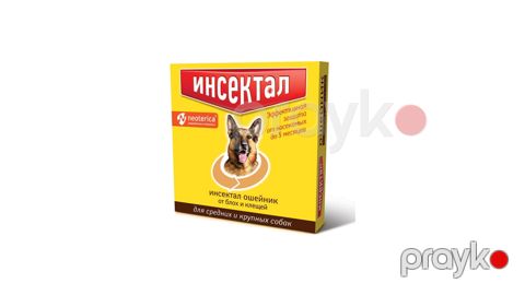 Boyunluq Neoterica Инсектал, bit və gənələrə qarşı, orta və iri itlər üçün — Bakı