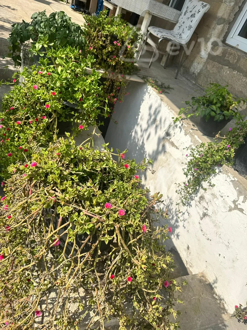 3 otaqlı həyət evi, 90 m², Bilgəh qəsəbəsi 142 nömrəli məktəbin yaxınlığı — Ev, villa, Bakı (6)