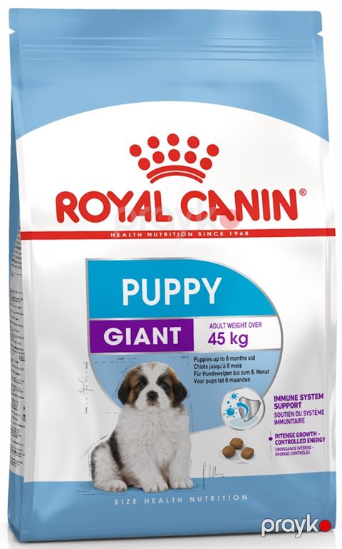 Quru yem Royal Canin, 2-8 ay arası iri cinsli küçüklər üçün, 15 kq — Bakı